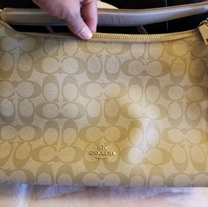 Celeste Convertible Hobo East/West Light Go